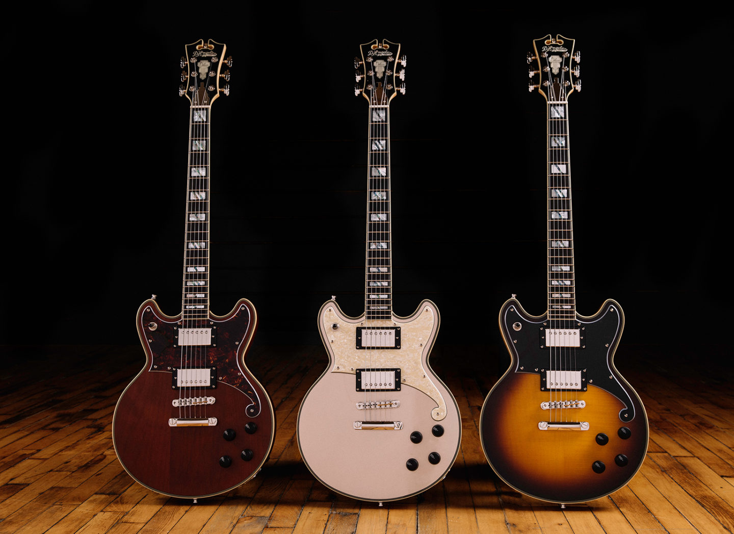 Deluxe Brighton D'Angelico Guitars
