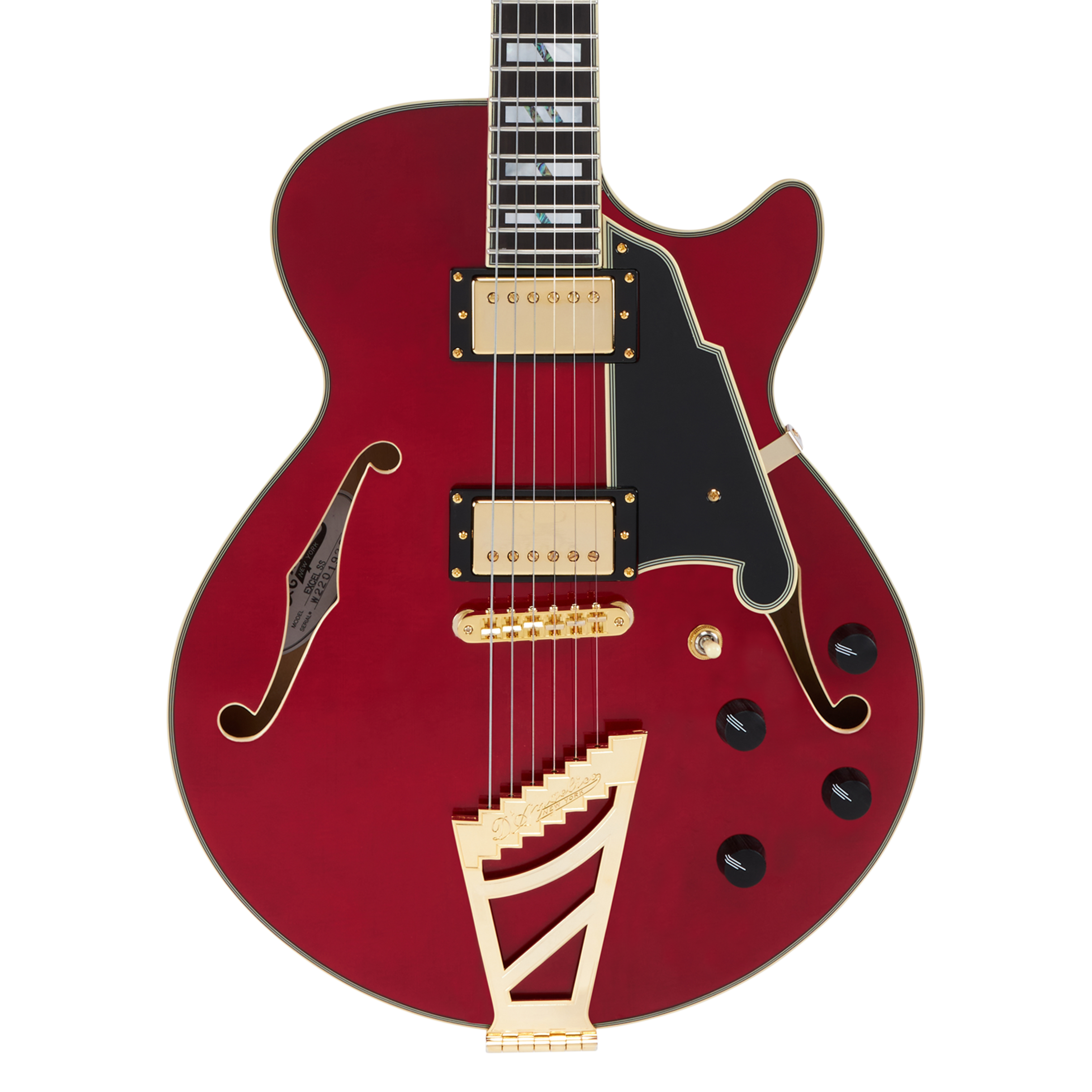 その他 D'angelico Excel ss viola D'Angelico Excel SS Single Cut Semi-Hollow Electric Guitar